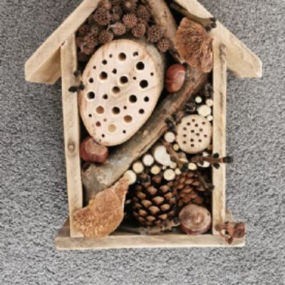 Home Learning Ideas